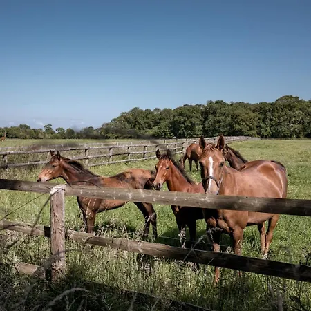 Maison Neuve Proche Avec Parking Gratuit Et Prive A 5 Min Du Musee De La Batterie De Merville Holiday home Gonneville-en-Auge