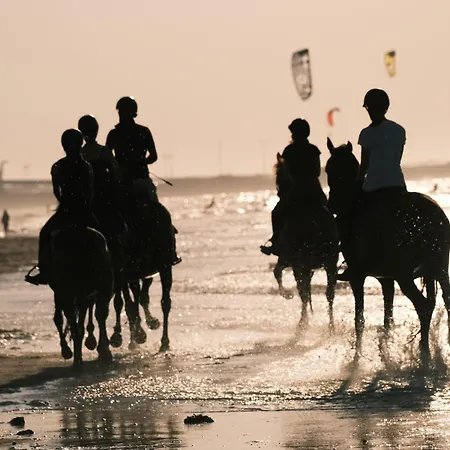 Maison Neuve Proche Avec Parking Gratuit Et Prive A 5 Min Du Musee De La Batterie De Merville * Gonneville-en-Auge