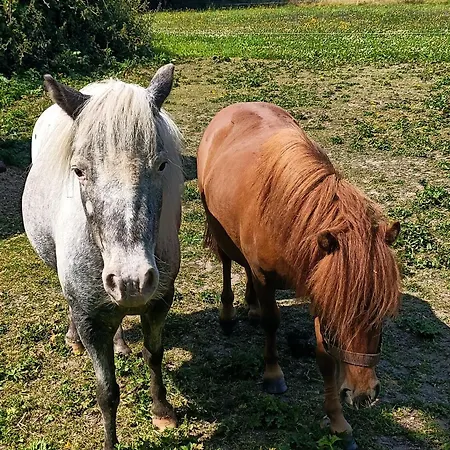Casa vacanze Maison Neuve Proche Avec Parking Gratuit Et Privé à 5 Min Du Musée De La Batterie De Merville