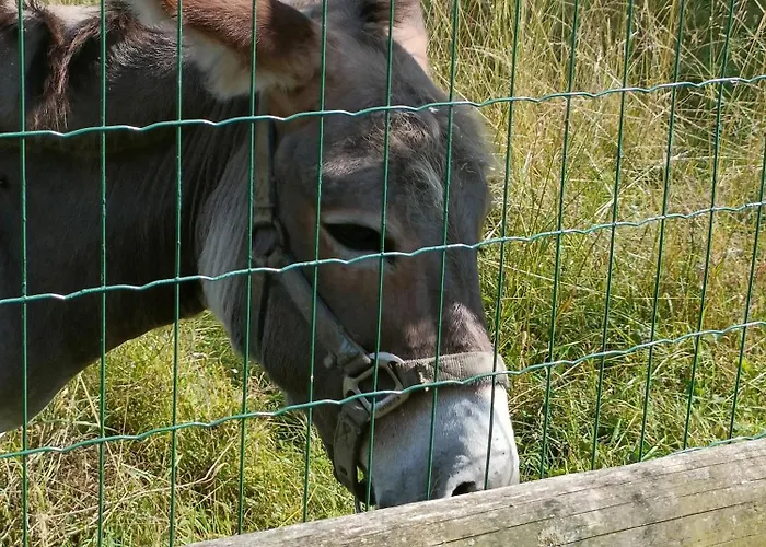 Maison Neuve Proche Avec Parking Gratuit Et Privé à 5 Min Du Musée De La Batterie De Merville