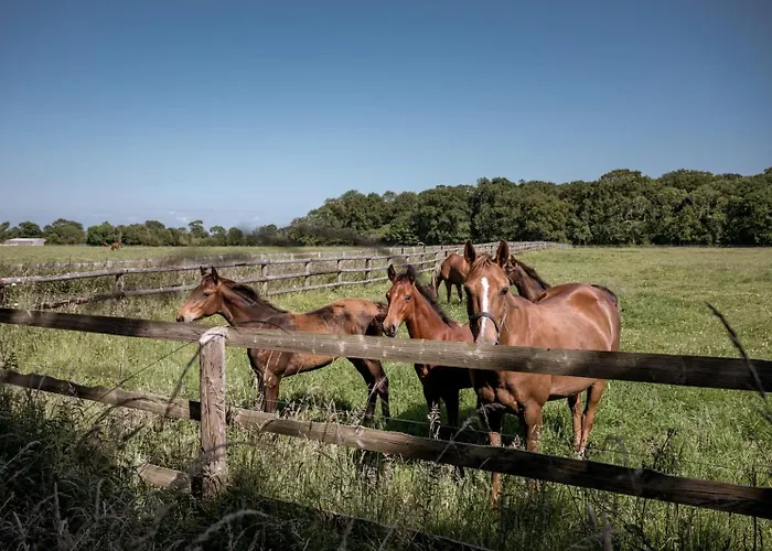 Maison Neuve Proche Avec Parking Gratuit Et Prive A 5 Min Du Musee De La Batterie De Merville Tatil Evi Gonneville-en-Auge