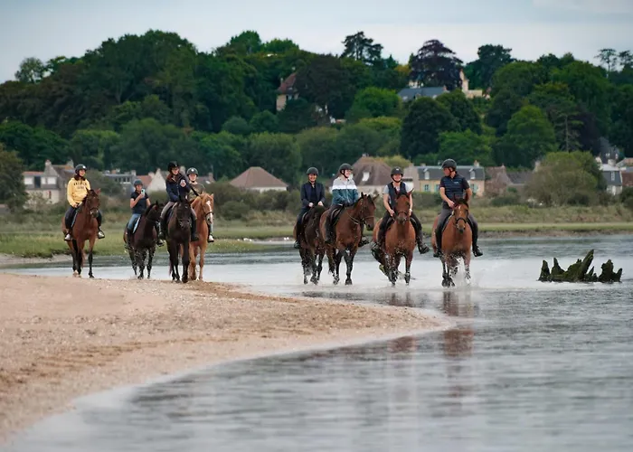 Maison Neuve Proche Avec Parking Gratuit Et Privé à 5 Min Du Musée De La Batterie De Merville Gonneville-en-Auge