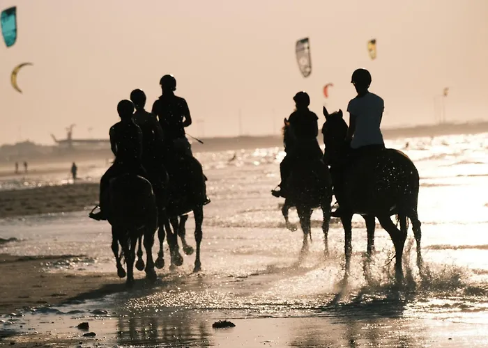 Maison Neuve Proche Avec Parking Gratuit Et Prive A 5 Min Du Musee De La Batterie De Merville * Gonneville-en-Auge